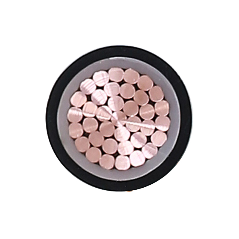 Cavo di ricarica per veicoli elettrici per tensione nominale 450/750 V