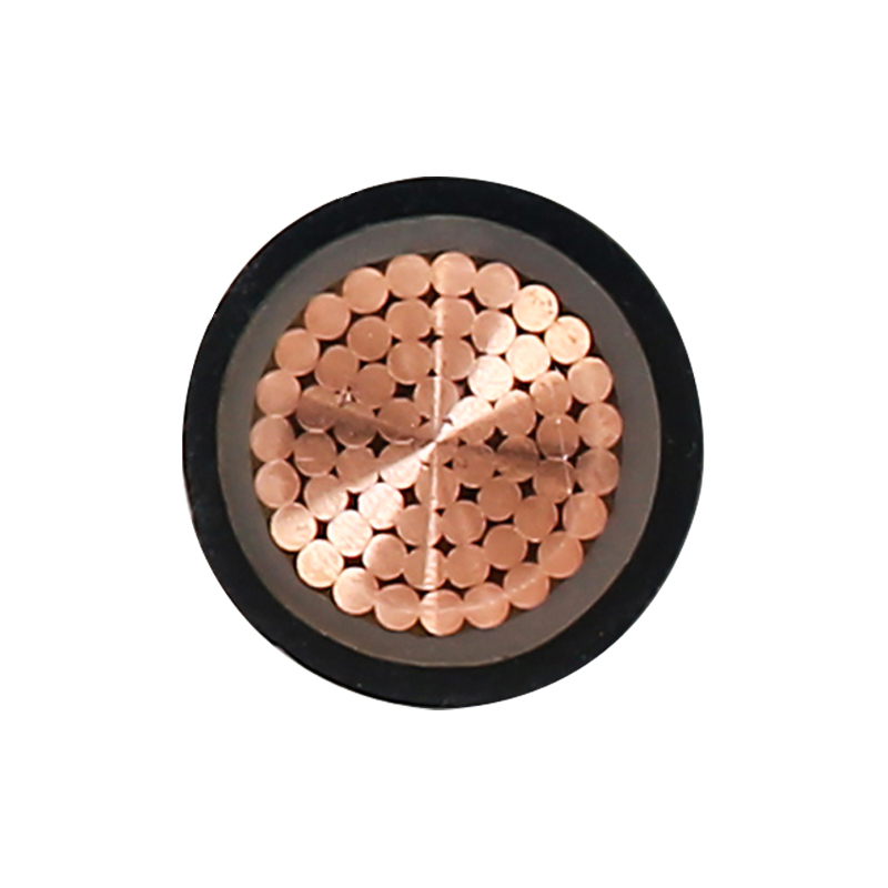 Cavo di ricarica per veicoli elettrici per tensione nominale 450/750 V