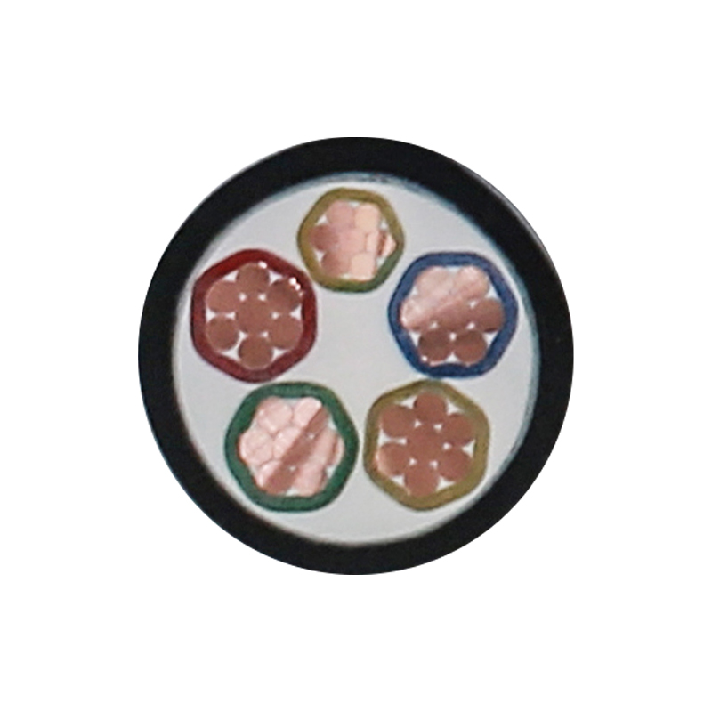 Cavo di ricarica per veicoli elettrici per tensione nominale 450/750 V