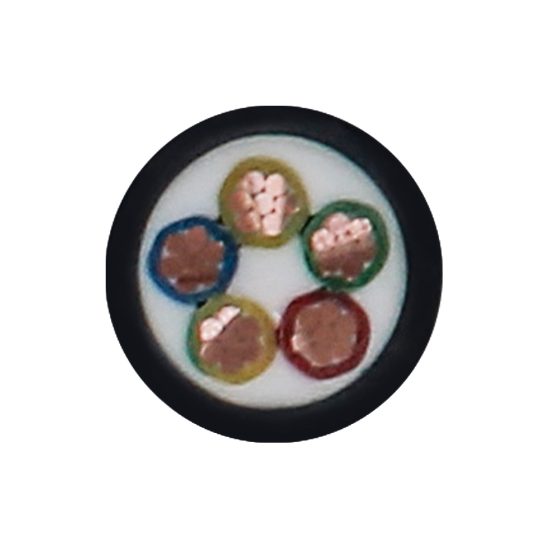 Cavo di ricarica per veicoli elettrici per tensione nominale 450/750 V