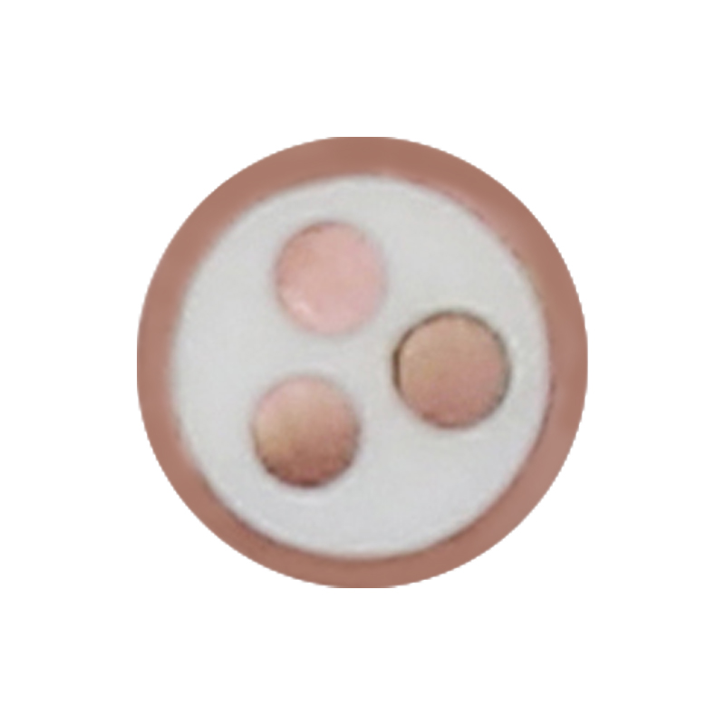 Cavo di ricarica per veicoli elettrici per tensione nominale 450/750 V