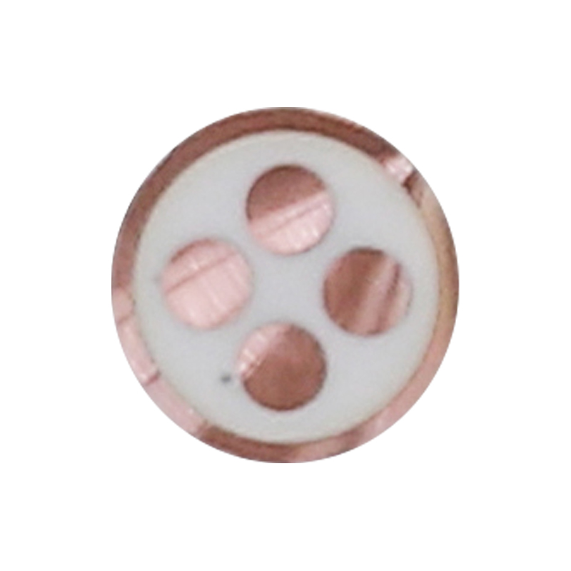 Cavo di ricarica per veicoli elettrici per tensione nominale 450/750 V