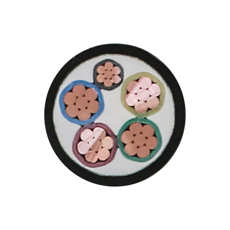 Cavo di ricarica per veicoli elettrici per tensione nominale 450/750 V