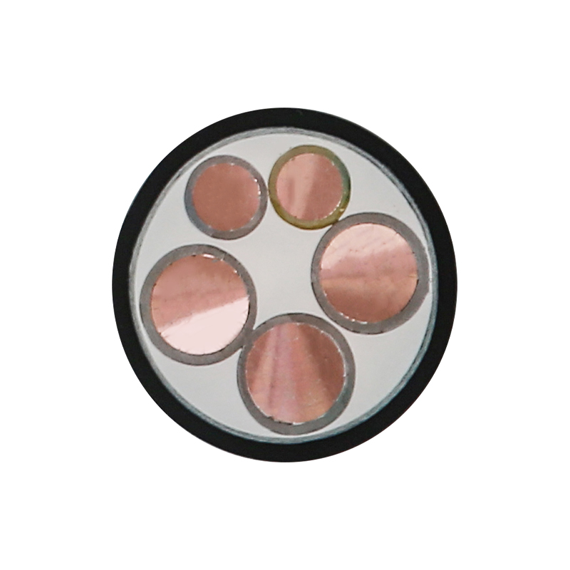 Cavo di ricarica per veicoli elettrici per tensione nominale 450/750 V