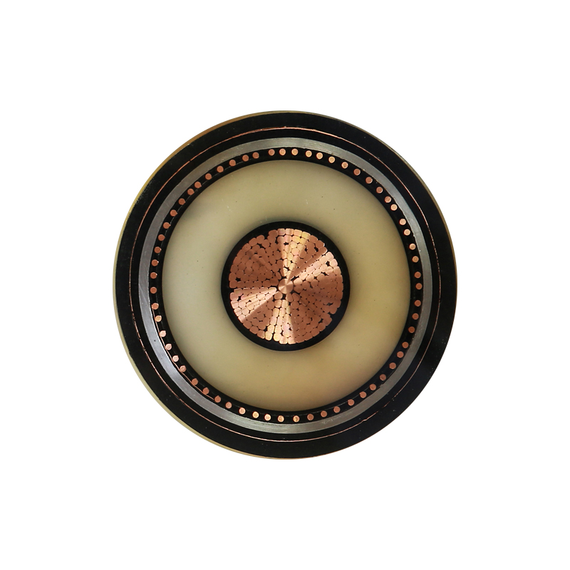 Cavo di ricarica per veicoli elettrici per tensione nominale 450/750 V