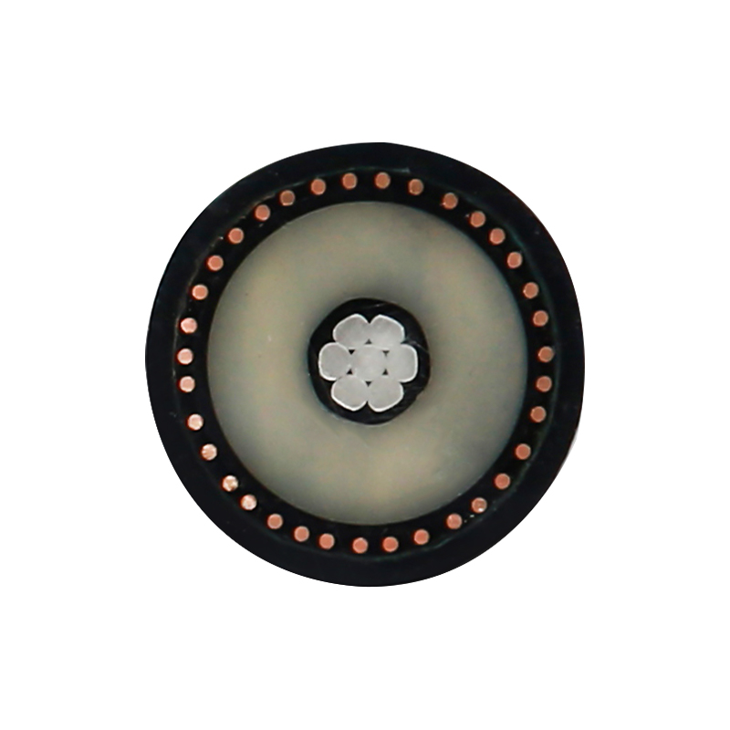 Cavo di ricarica per veicoli elettrici per tensione nominale 450/750 V