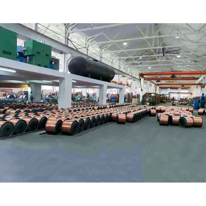 Cavo isolato XLPE/PVC (filo) Tensione nominale fino a 450/750 V inclusi